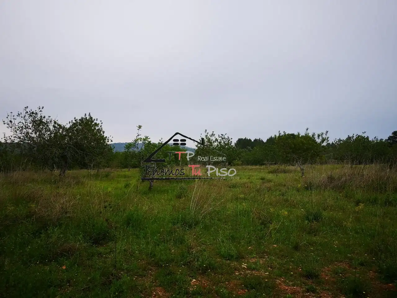Rural land for sale in POLIGONO 9 PARCELLA 64, imagen 4