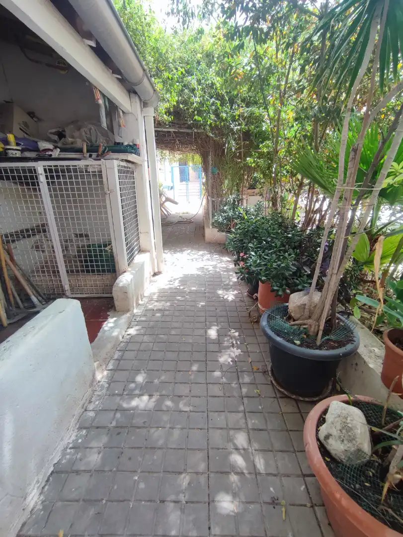 Vista exterior de Casa o xalet en venda en Petrer amb Jardí privat, Terrassa i Traster