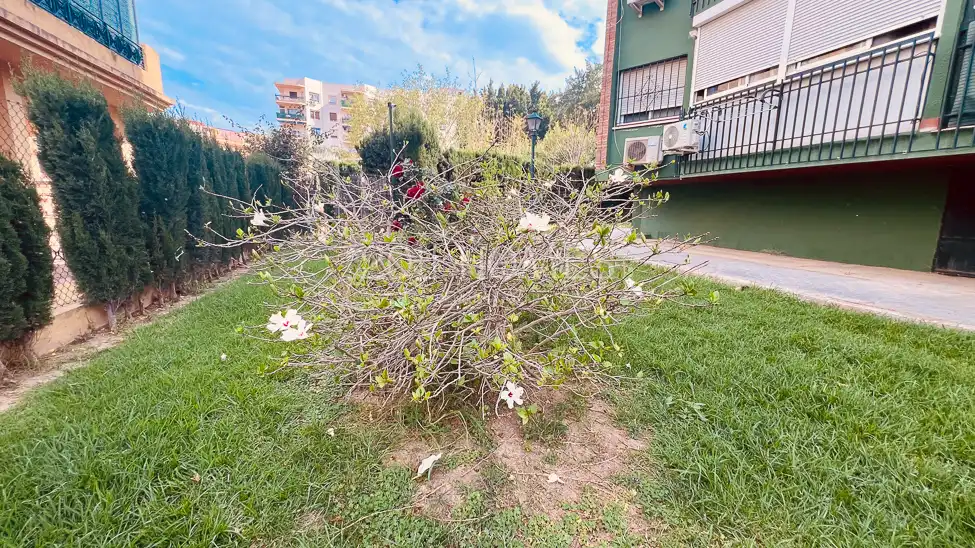 Garden of Flat for sale in Málaga  with Air Conditioner, Private garden and Balcony