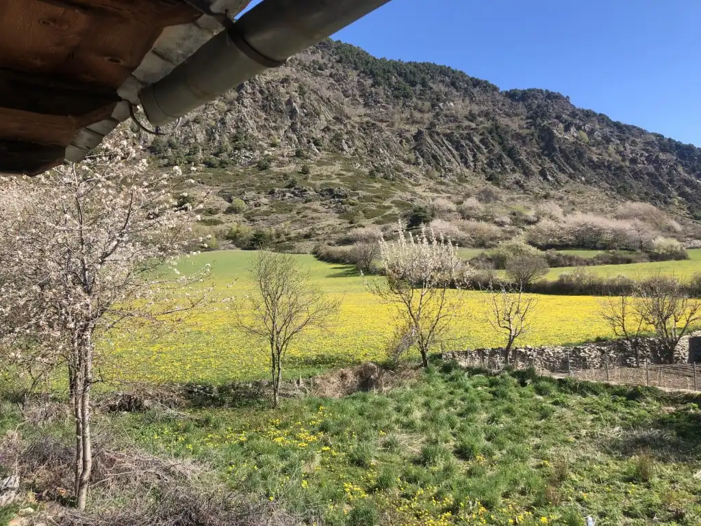 Jardín de Casa o chalet en venta en Espot