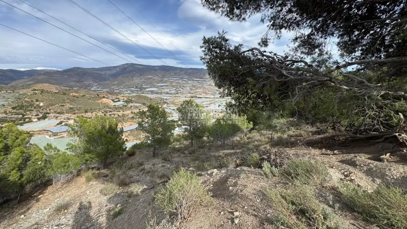 Terreno en venta en Gualchos