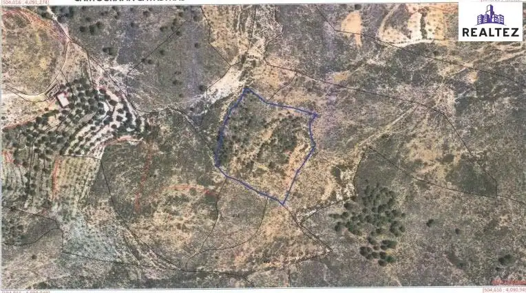 Terrain rustique à vendre à Alcolea, imagen 15
