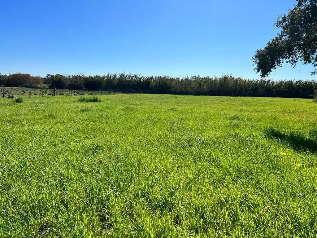 Terrain rustique à vendre à Vejer, imagen 4