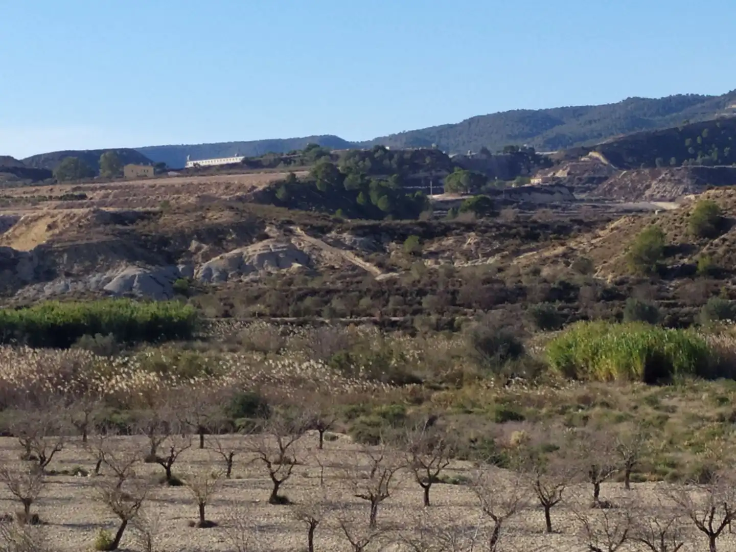 Terreno en venta en Elche / Elx