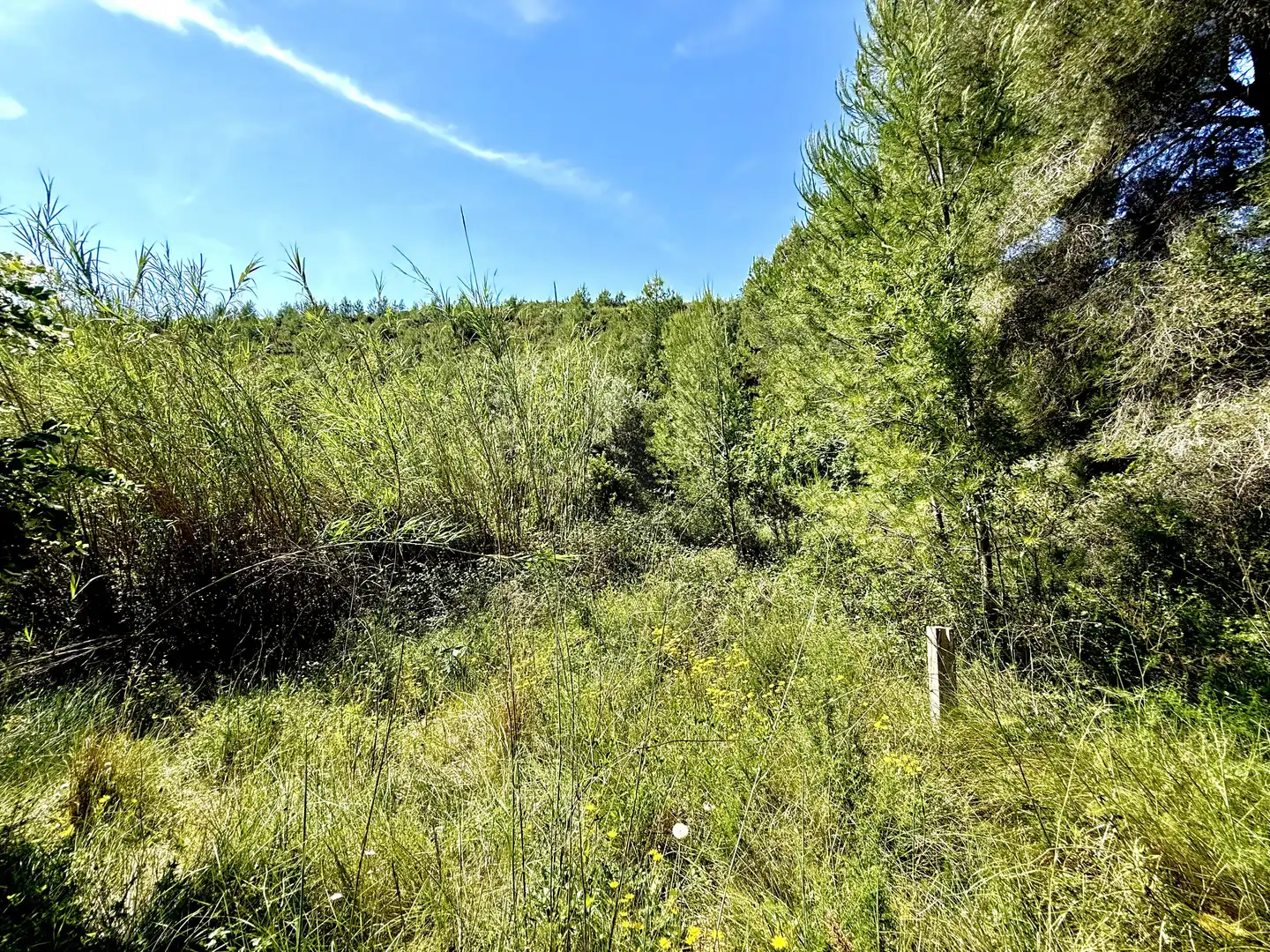 Terreno en venta en Llíber