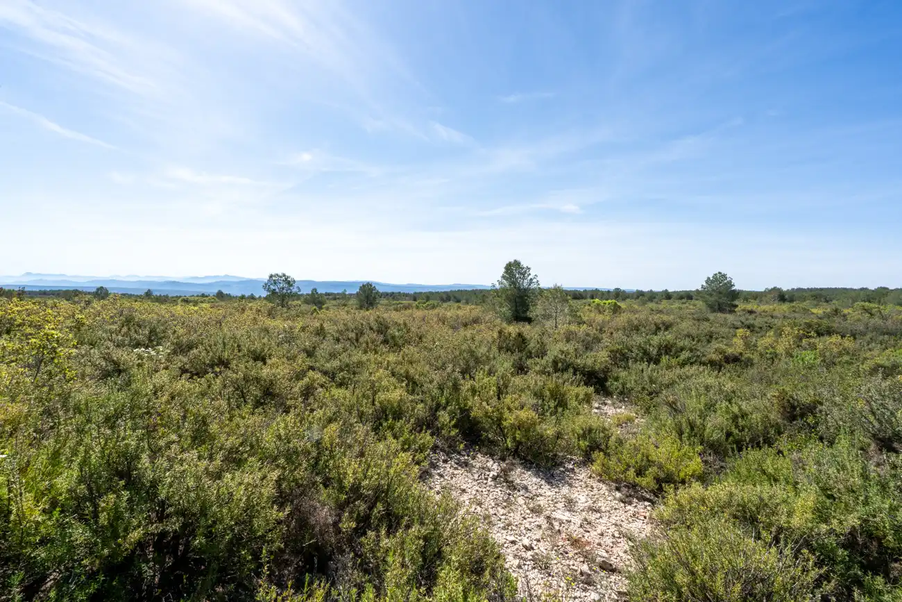 Maison rustique avec jardin à vendre à CV-590 41, imagen 48