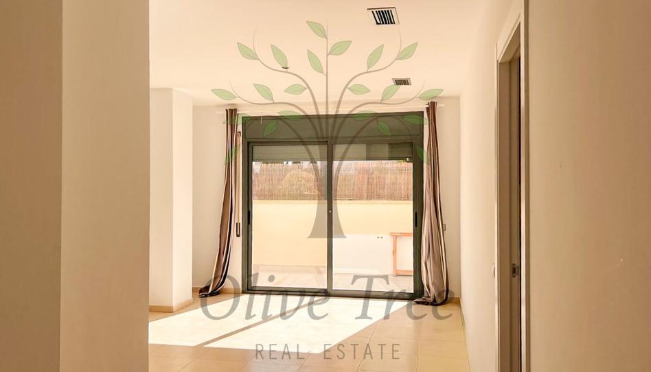 Photo 1 of Planta baja to rent in Calle Antonio Machado, Ses Figueretes - Platja d'en Bossa - Cas Serres, Illes Balears