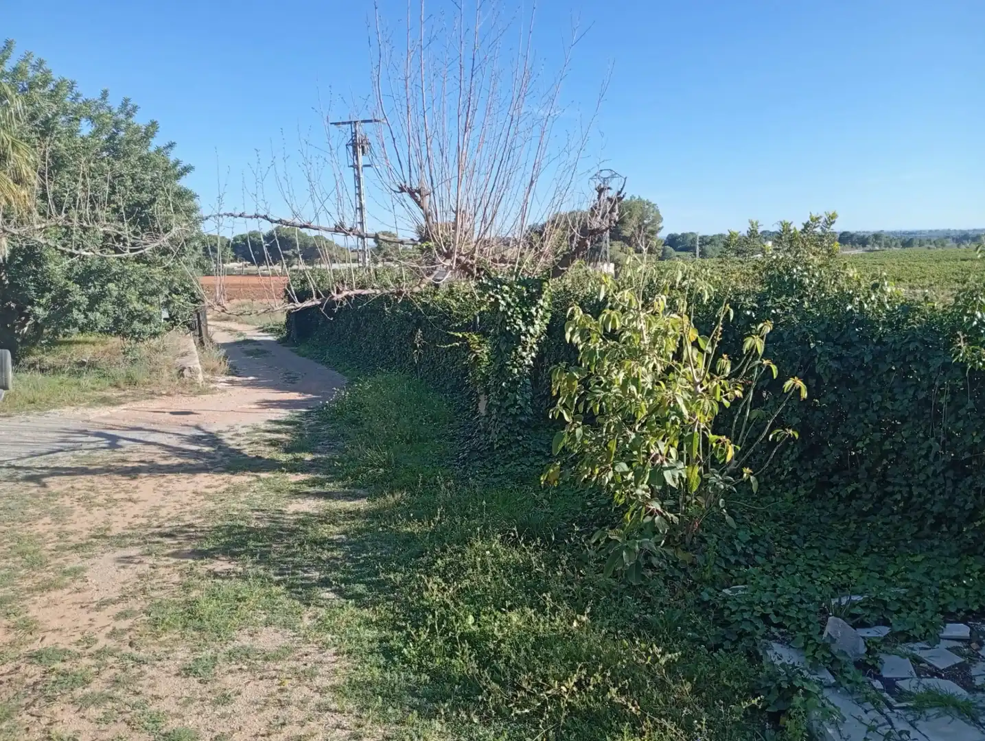Casa o xalet en venda en Castellón de la Plana / Castelló de la Plana amb Jardí privat, Terrassa i Traster