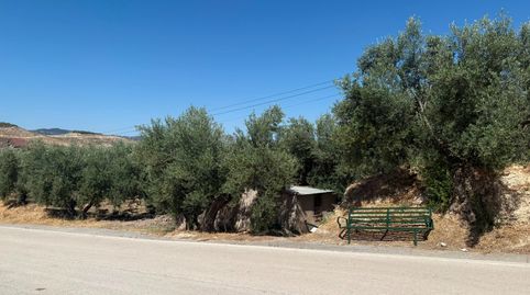 Photo 3 of Land for sale in N/a, -1, Hinojares, Jaén