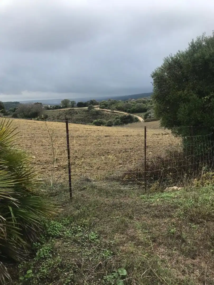 Terreny rústic en venda a Vejer, imagen 10