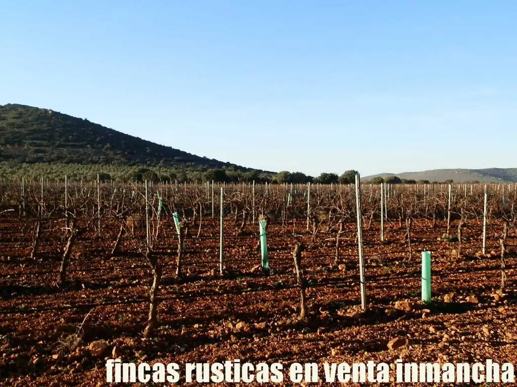 Terreno rústico en venta en Moral de Calatrava