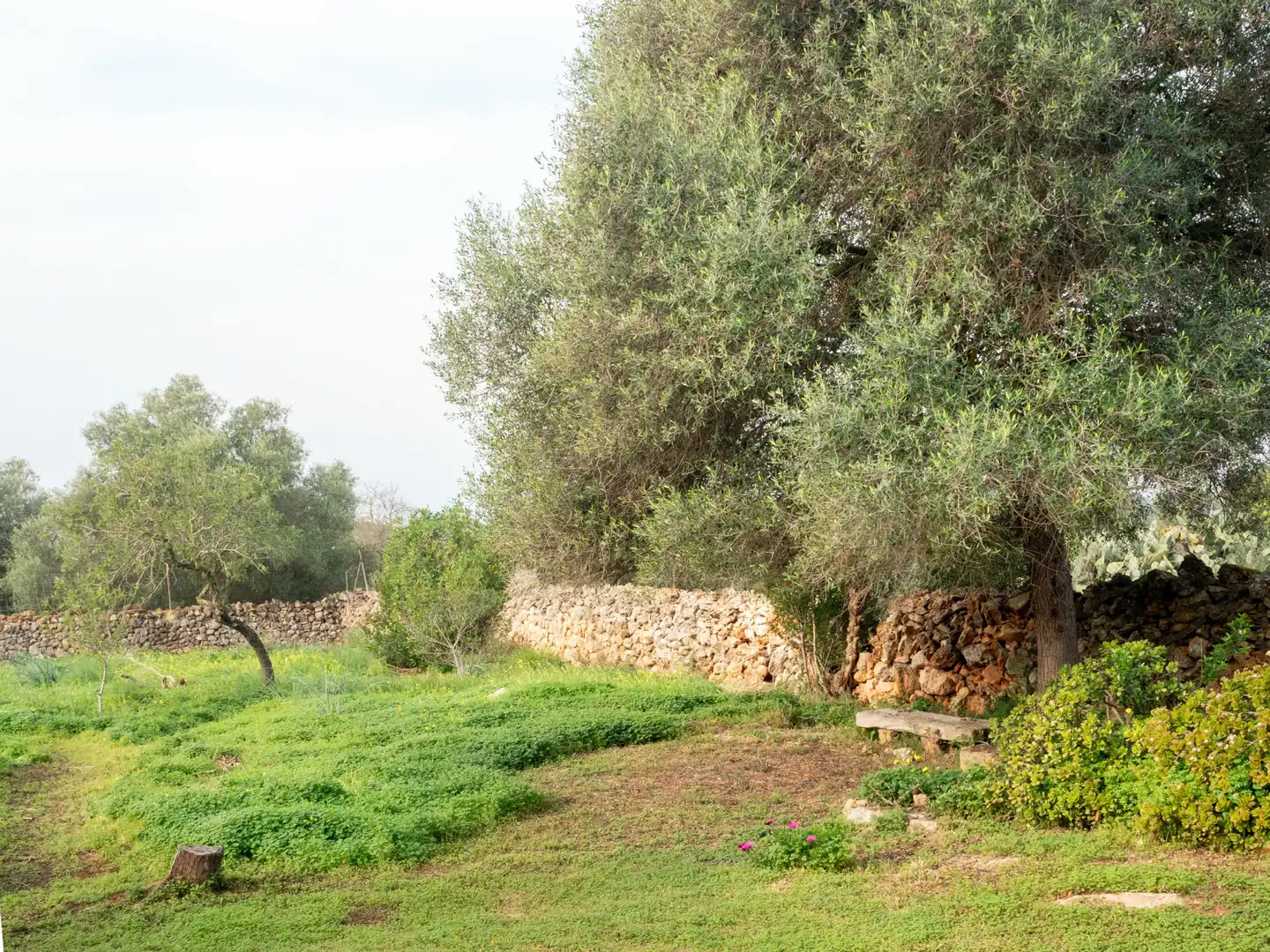 Casa o xalet en venda en Marratxí amb Calefacció, Jardí privat i Terrassa