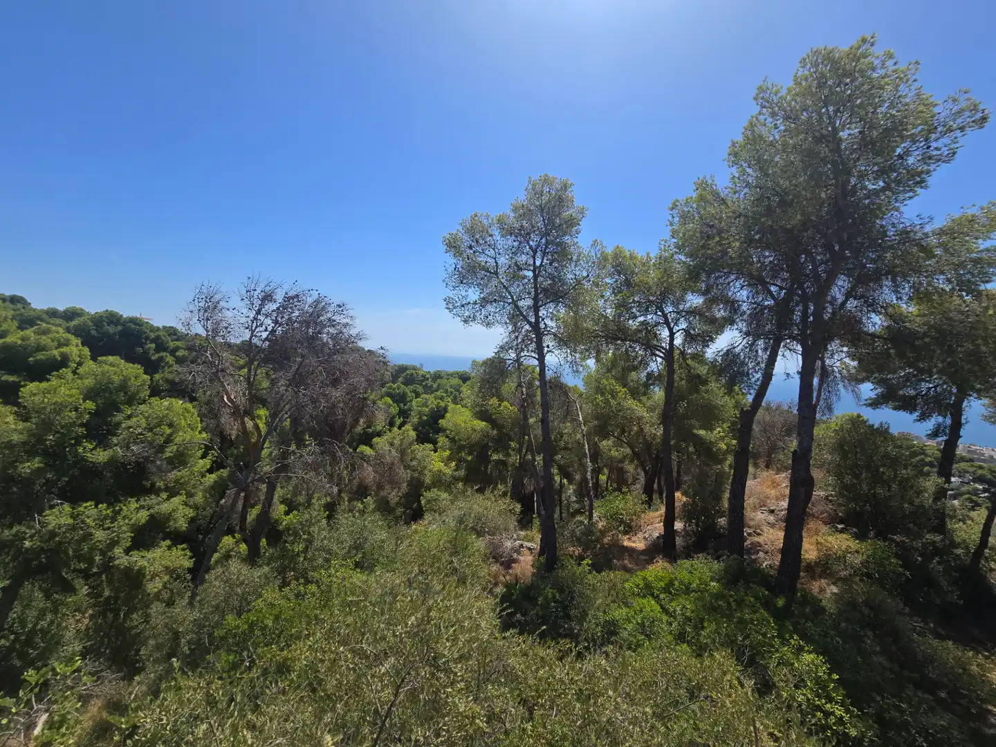Residencial en venta en Málaga