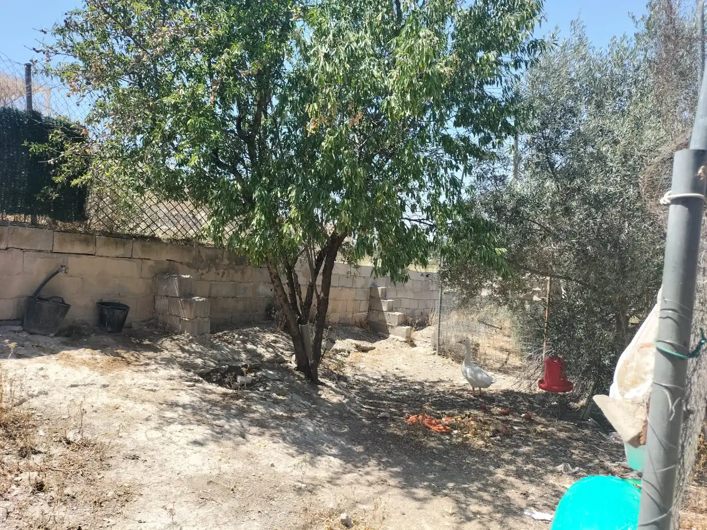 Casa o chalet en venta en Sax con Jardín privado, Terraza y Trastero