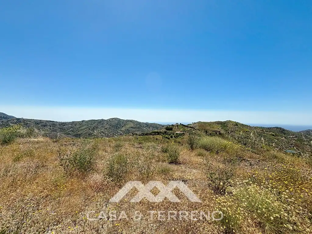 Land for sale in Canillas de Albaida