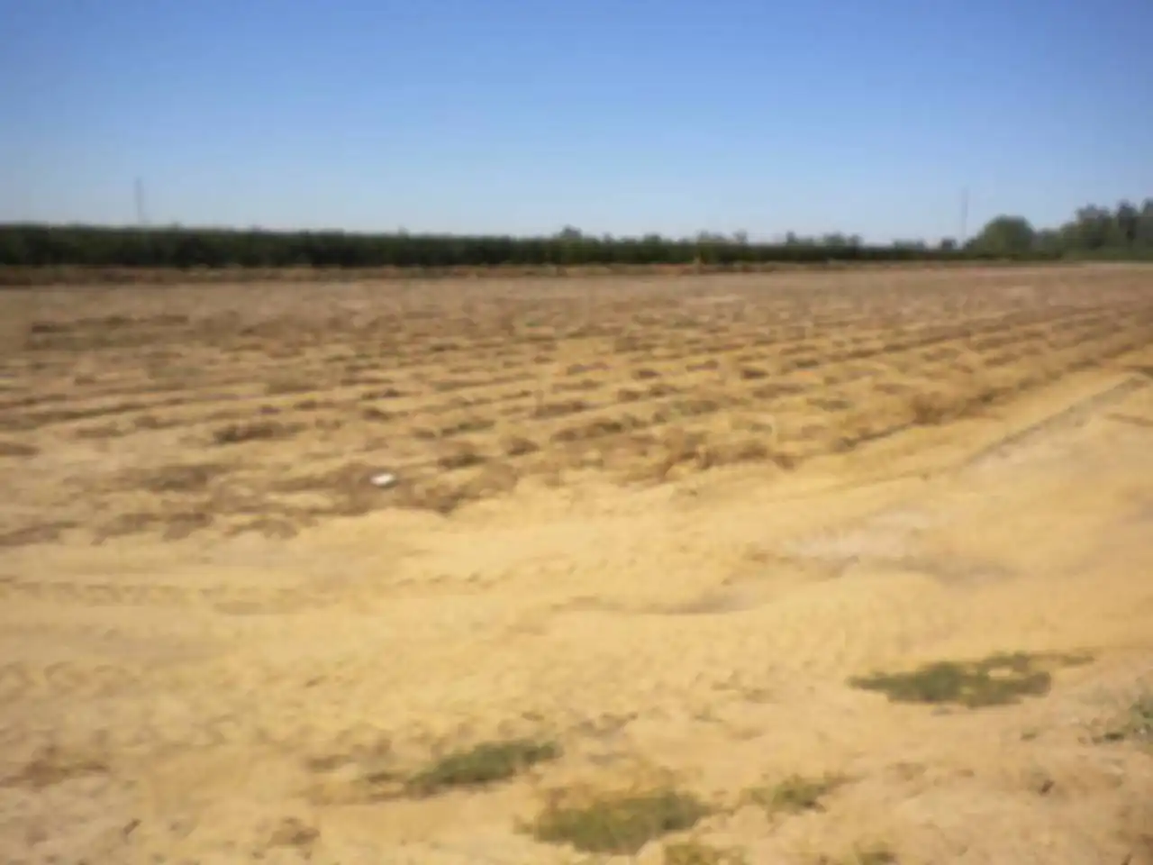 Land for sale in Rena
