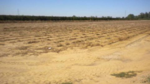 finca en venta, immagine 5