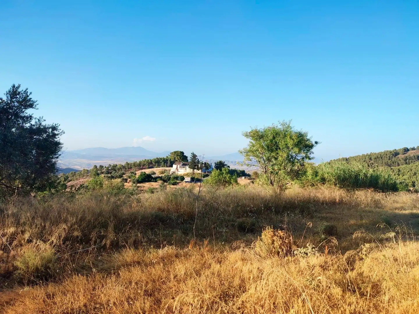 Terrains et parcelles à vendre à Pedanías Centro