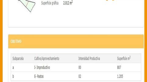 FINCA DE 2012 M2 EN A CAL, CELANOVA, immagine 3