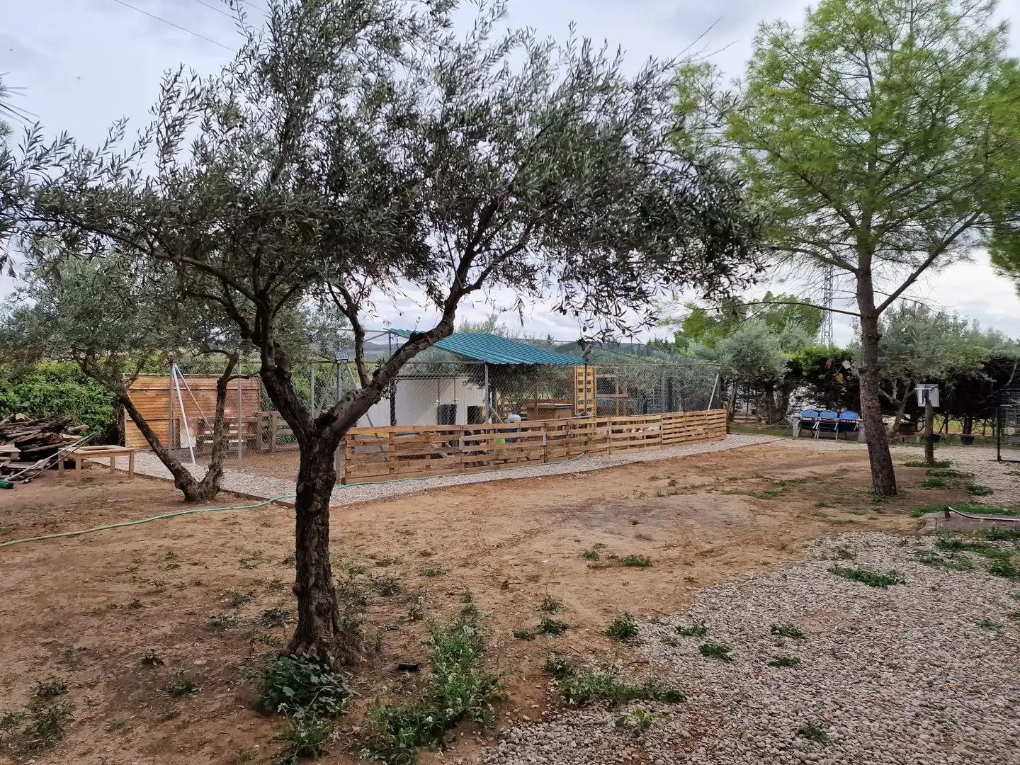 Casa rústica en venda a Calle Baja Azotea, imagen 10