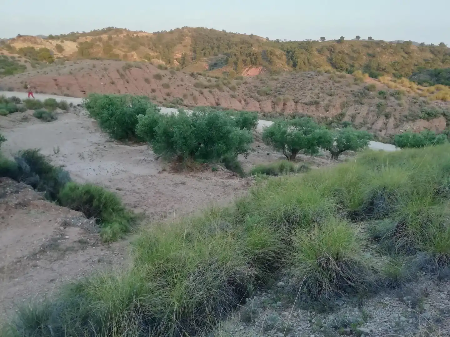 Finca rústica en venta en Abanilla