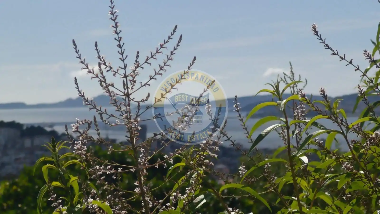 Casa o chalet en venta en Vigo 