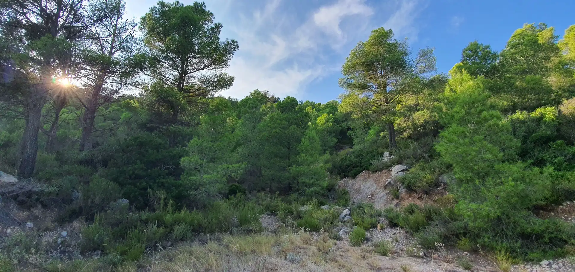 Wohnbaugrundstück zum Verkauf in El Pinell de Brai, imagen 7