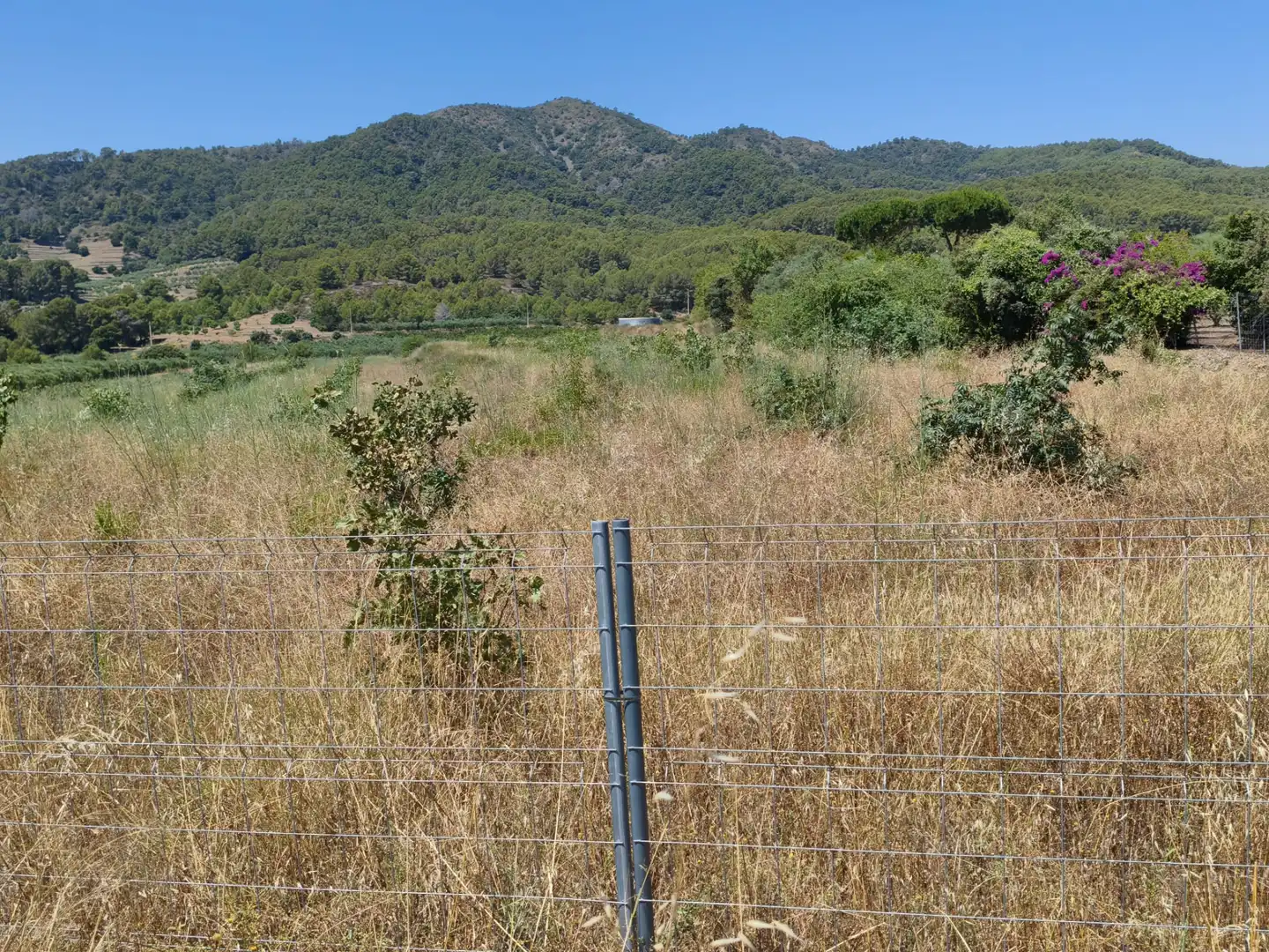 Terreno en venta en Riudecols