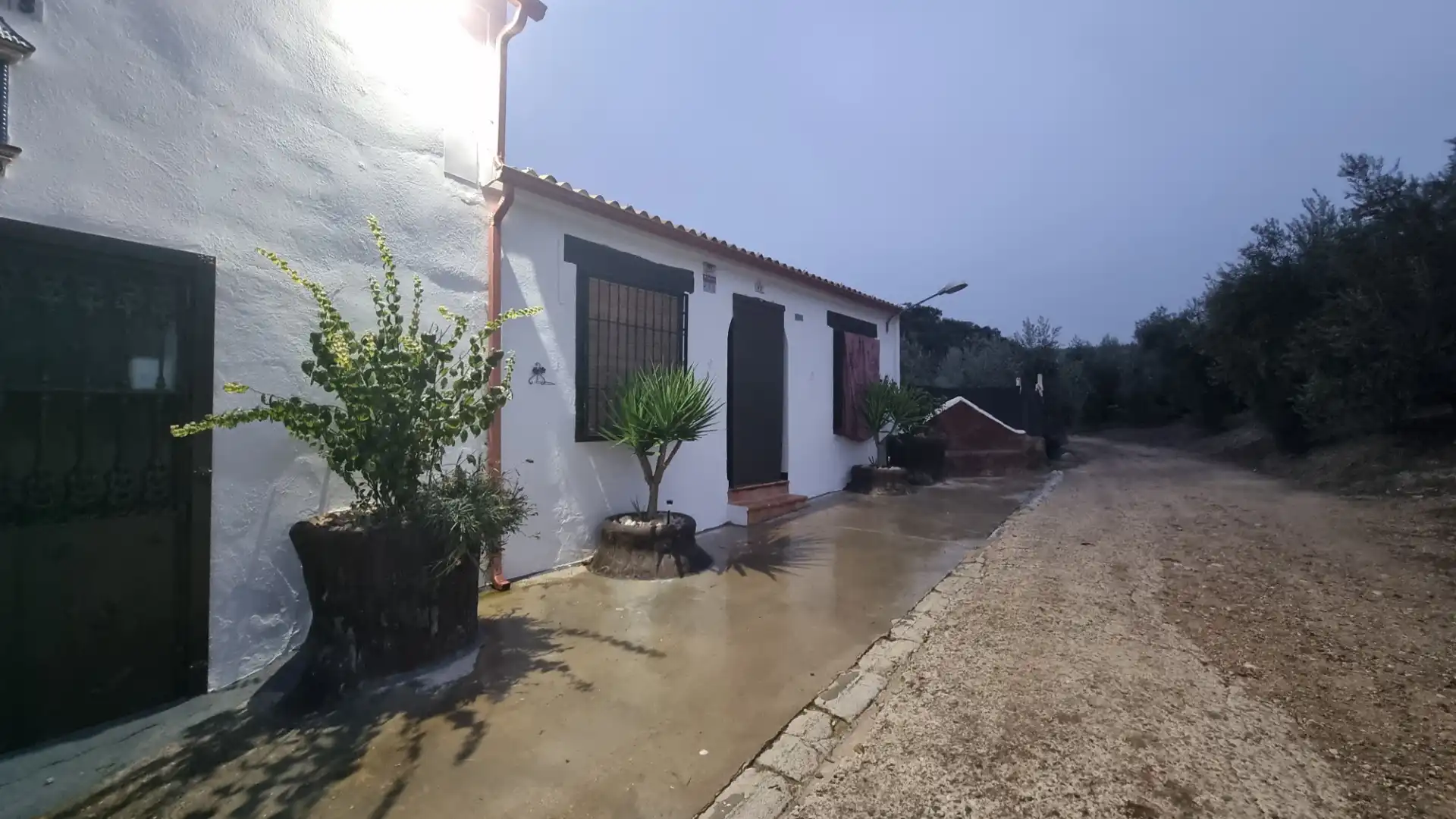 Casa rustica con terrazza in vendita a Rute, imagen 11