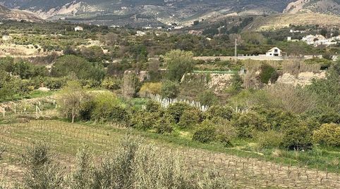 Foto 2 de Finca rústica en venda a Valle de Lecrin, El Valle, Granada