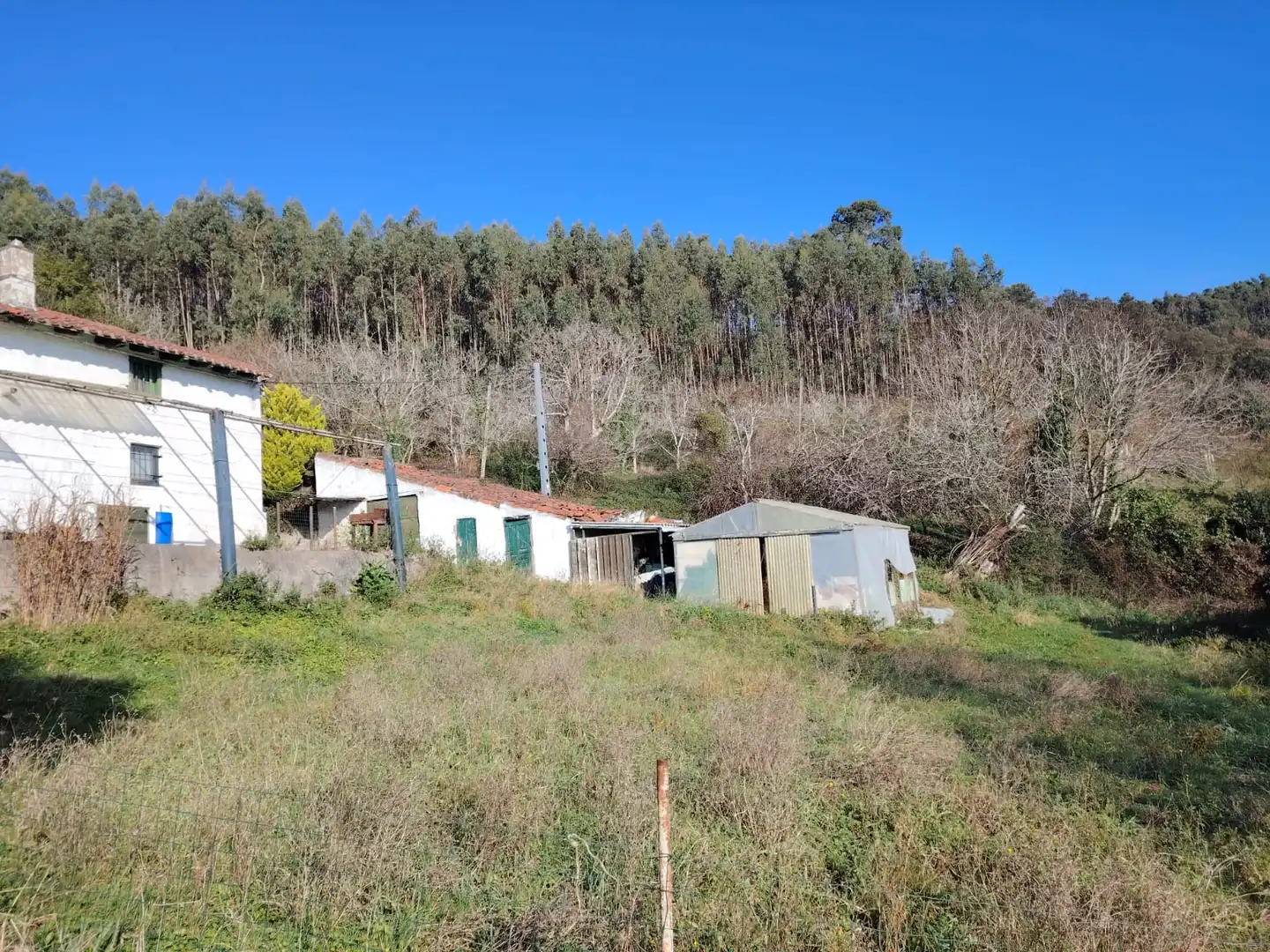 Vista exterior de Casa o chalet en venta en Gorliz con Jardín privado y Trastero