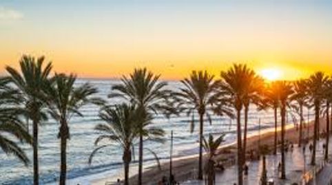 Foto 3 de Edificio en venta en Palo Alto, Ojén