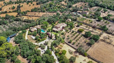 Foto 2 de Finca rústica en venta en S'Horta - Cas Concos des Cavaller - Es Carritxó, Felanitx
