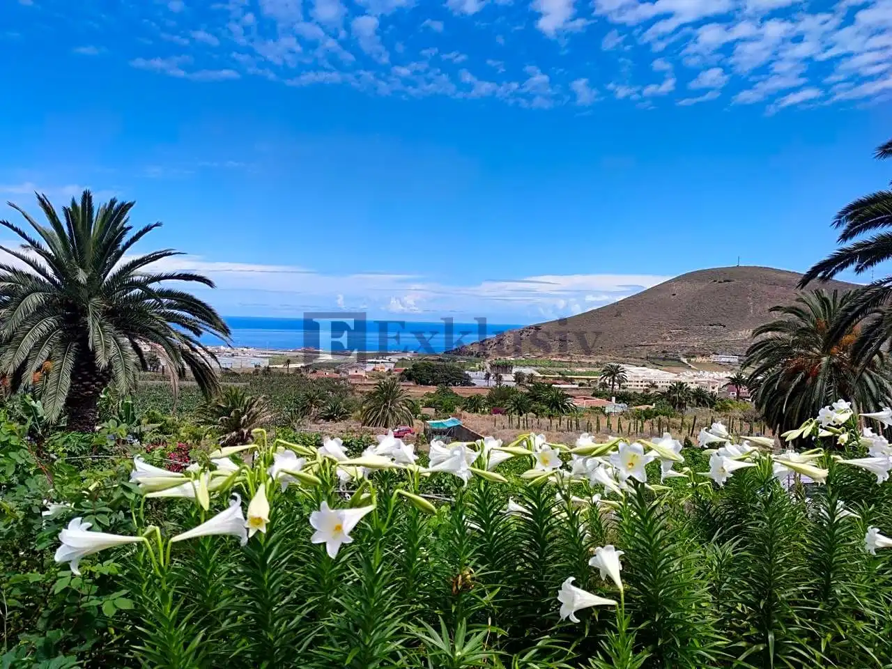 Country homes for sale in Buenavista del Norte