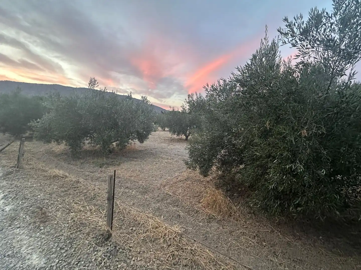 Terreno en venta en Alhama de Murcia