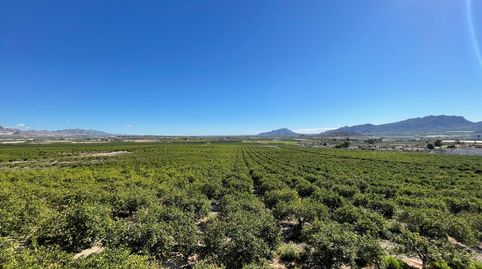 Foto 3 de Terreny en venda a Fortuna, Murcia