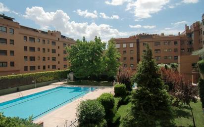 Swimming pool of Study for sale in  Madrid Capital  with Heating, Swimming Pool and Washing machine