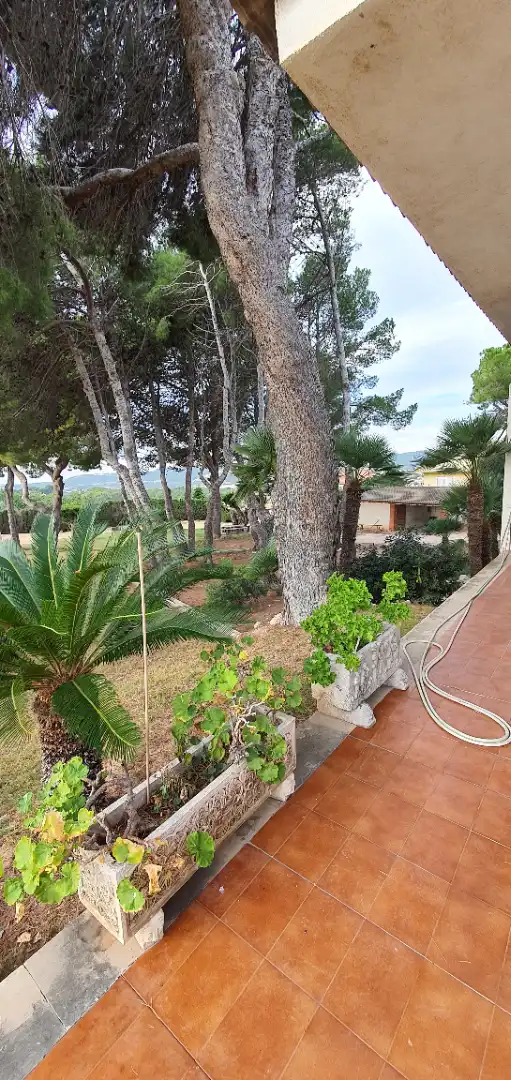 Jardí de Casa o xalet en venda en El Vendrell amb Aire condicionat, Jardí privat i Terrassa