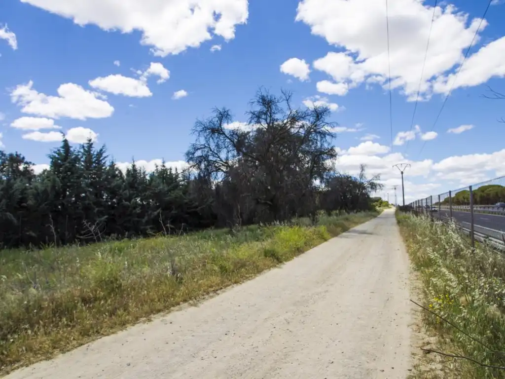 Finca rústica en venda en Navalcarnero