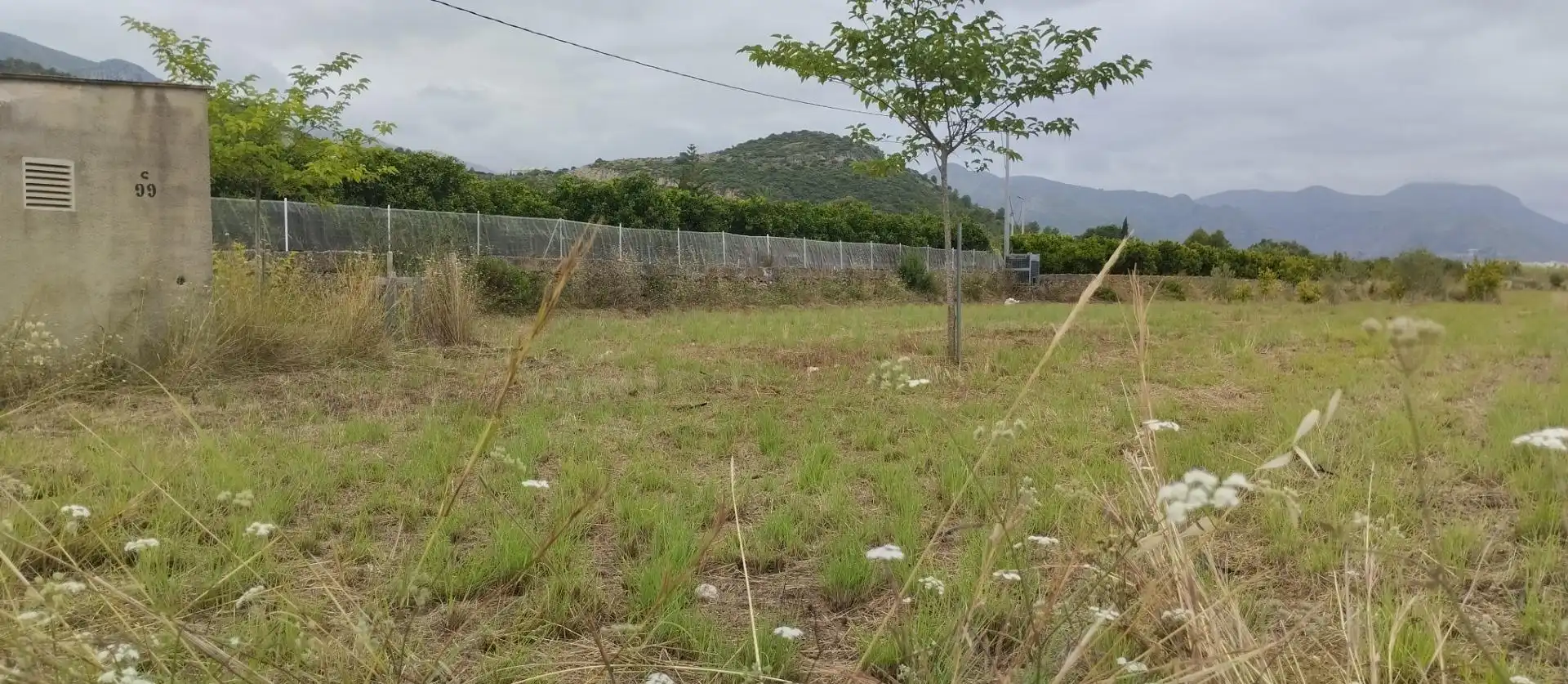 Rural land for sale in Pego