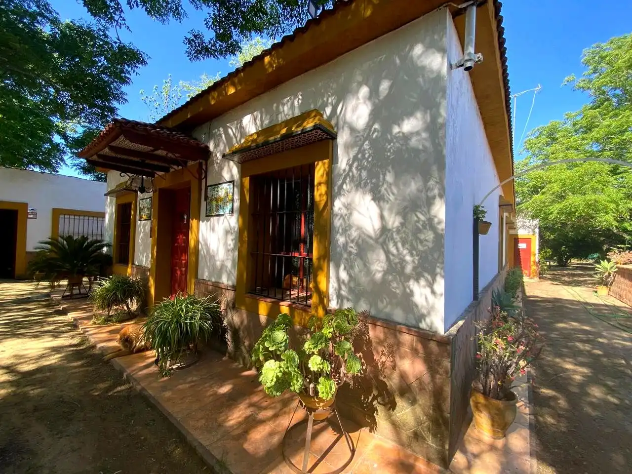Vista exterior de Casa o xalet en venda en Alcalá de Guadaira amb Jardí privat, Terrassa i Piscina