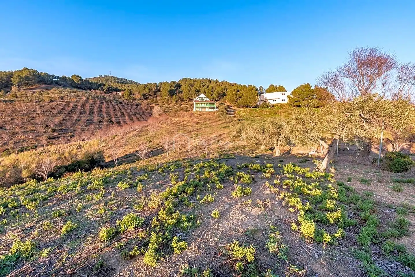 Country house zum Verkauf in Partida el Pinar, Les Borges del Camp