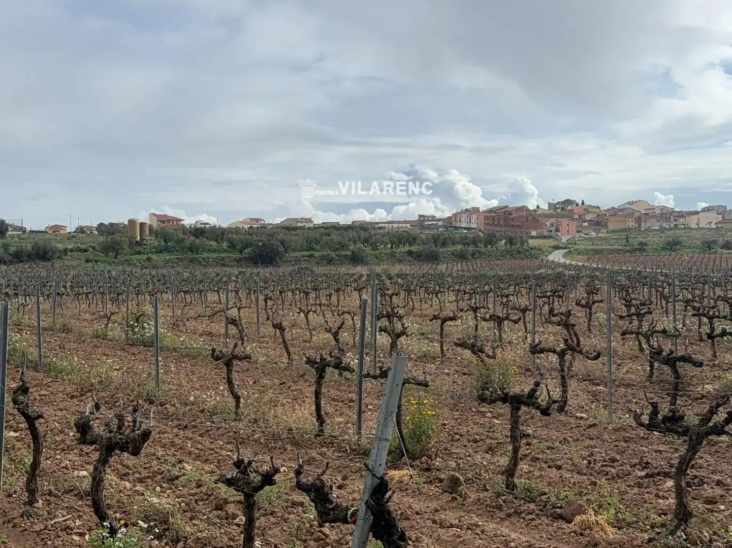 Rustikales Grundstück zum Verkauf in Sant Jaume dels Domenys, imagen 17
