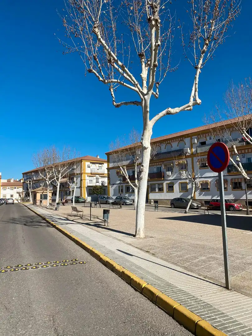 Casa o chalet en venta en Écija