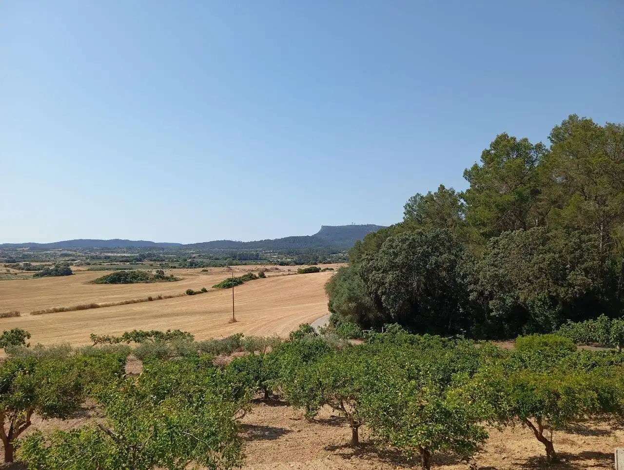Casa o chalet en venta en Lloret de Vistalegre