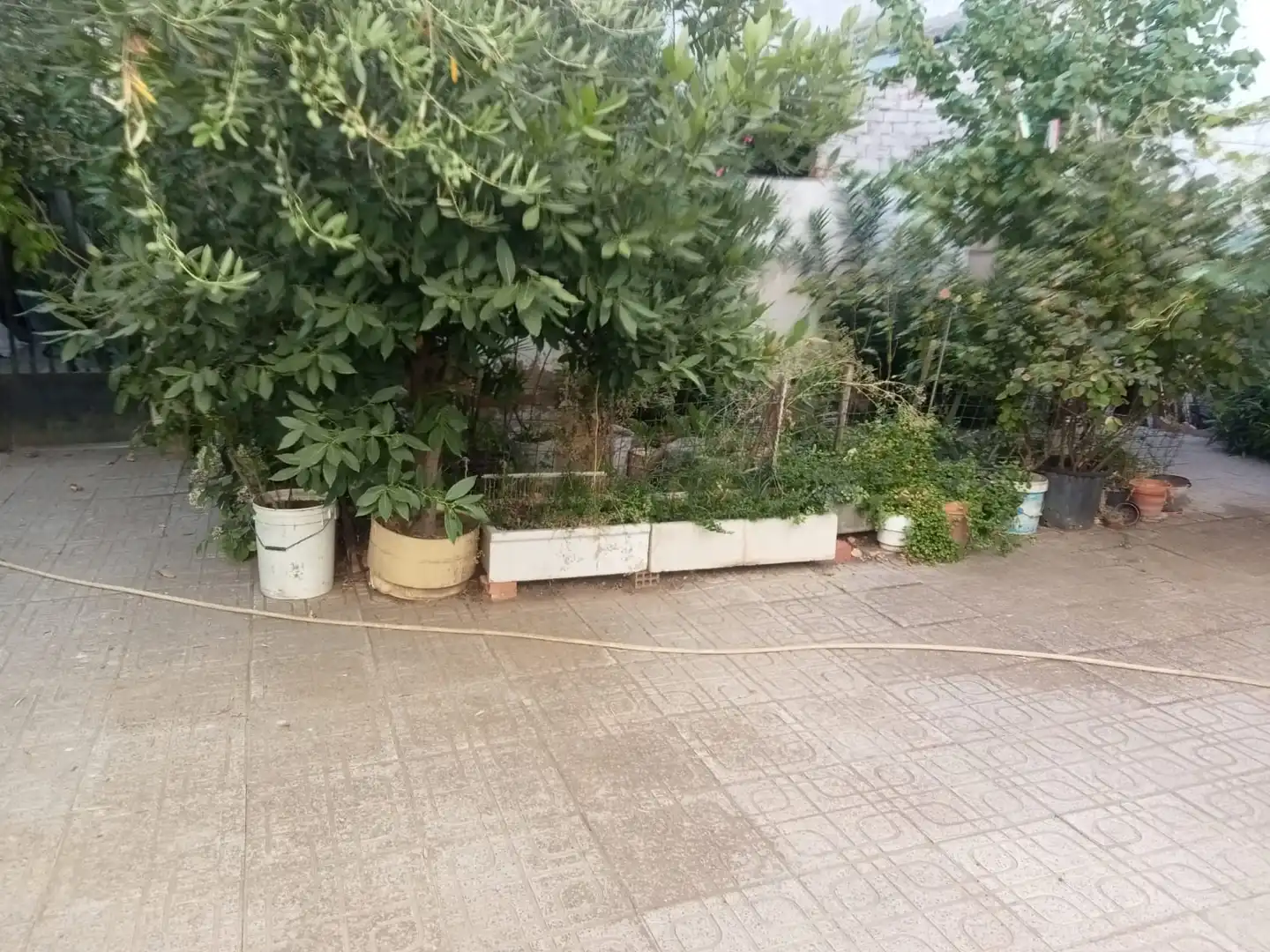 Maison avec jardin à vendre à Calle Murillo, imagen 20