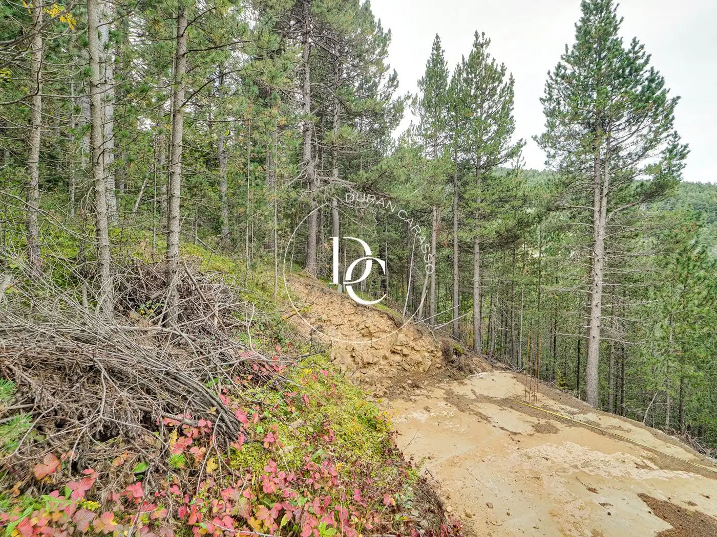 Residential for sale in Alp