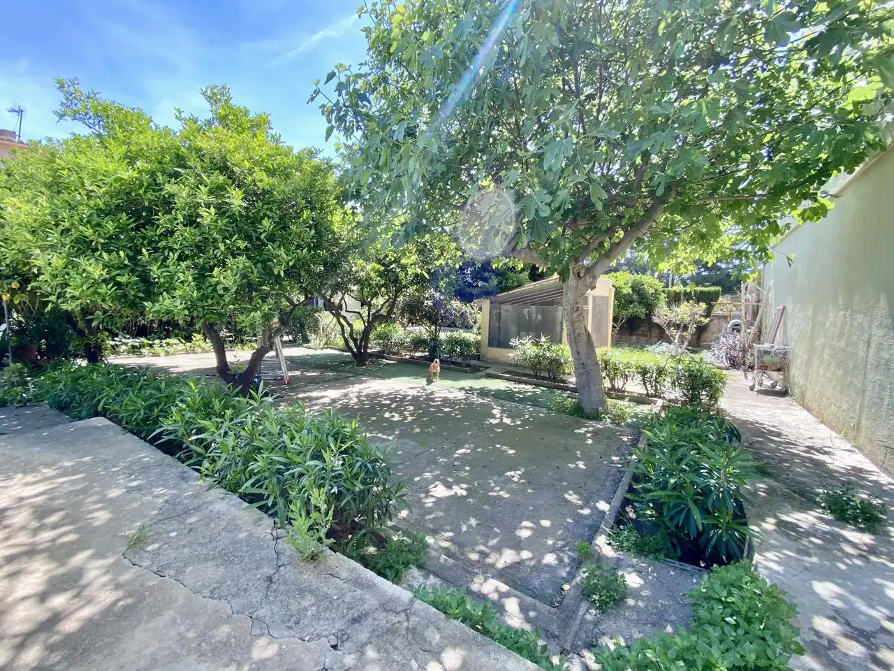 Garten von Haus oder Chalet zum Verkauf in  Palma de Mallorca mit Privatgarten, Terrasse und Abstellraum