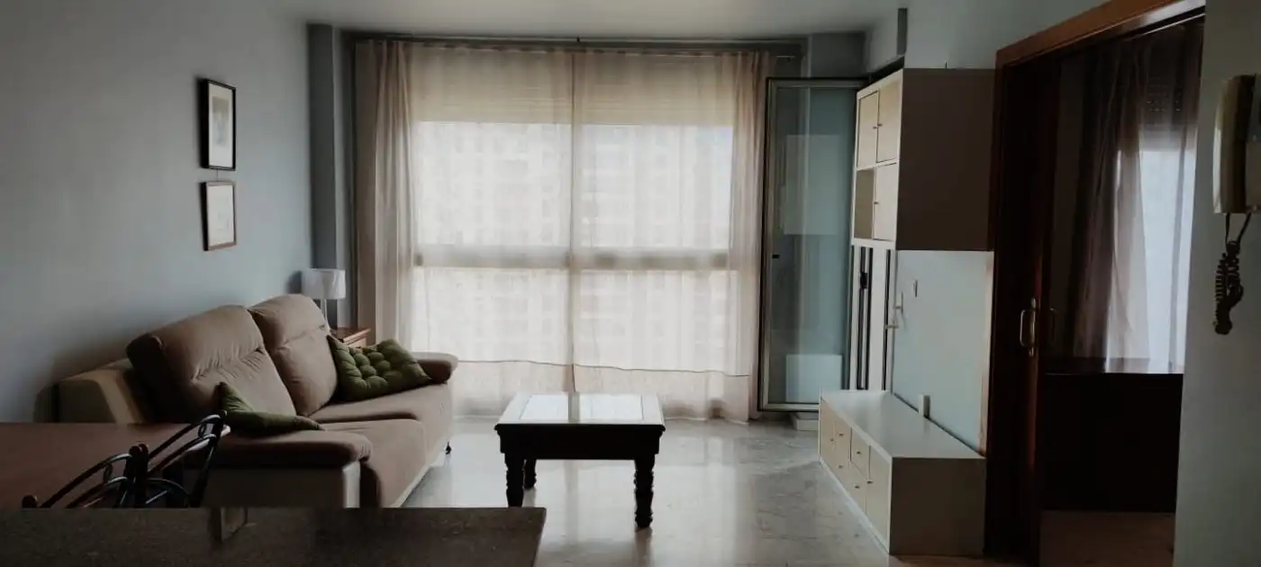 Sala d'estar de Pis de lloguer en Valencia amb Aire condicionat, Parquet i Terrassa