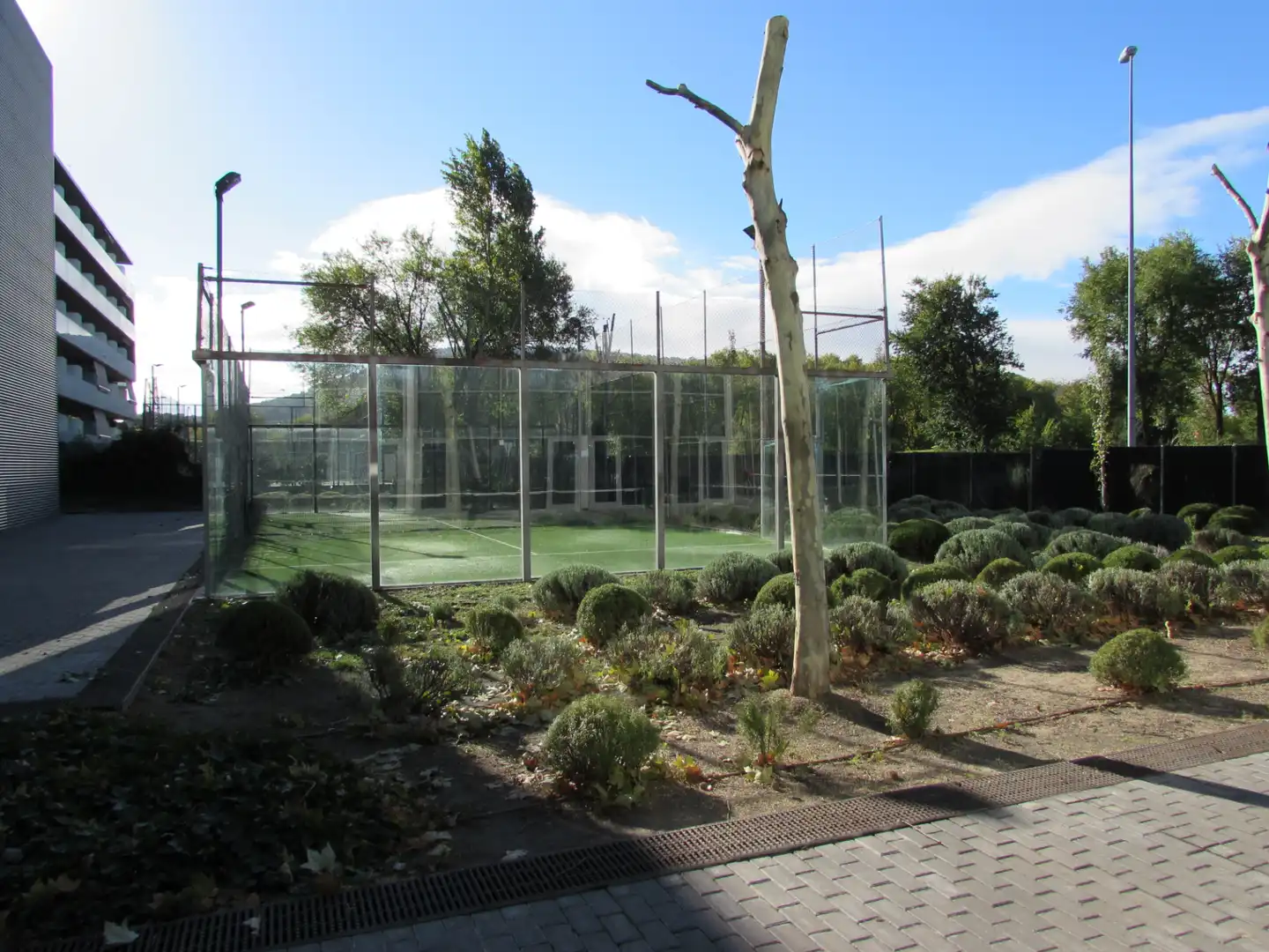Jardí de Loft en venda en Alcalá de Henares amb Aire condicionat, Calefacció i Internet